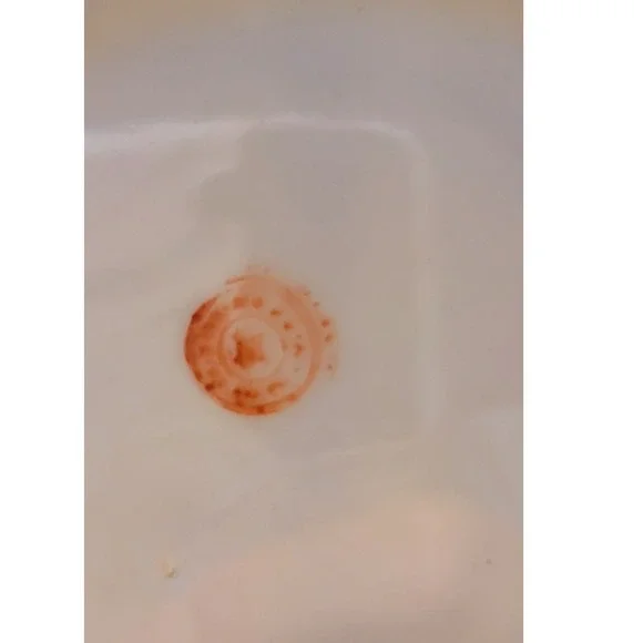 Vintage Teacup and Saucer Set Swan Crane Landscape Oriental Design - Picture 4 of 9